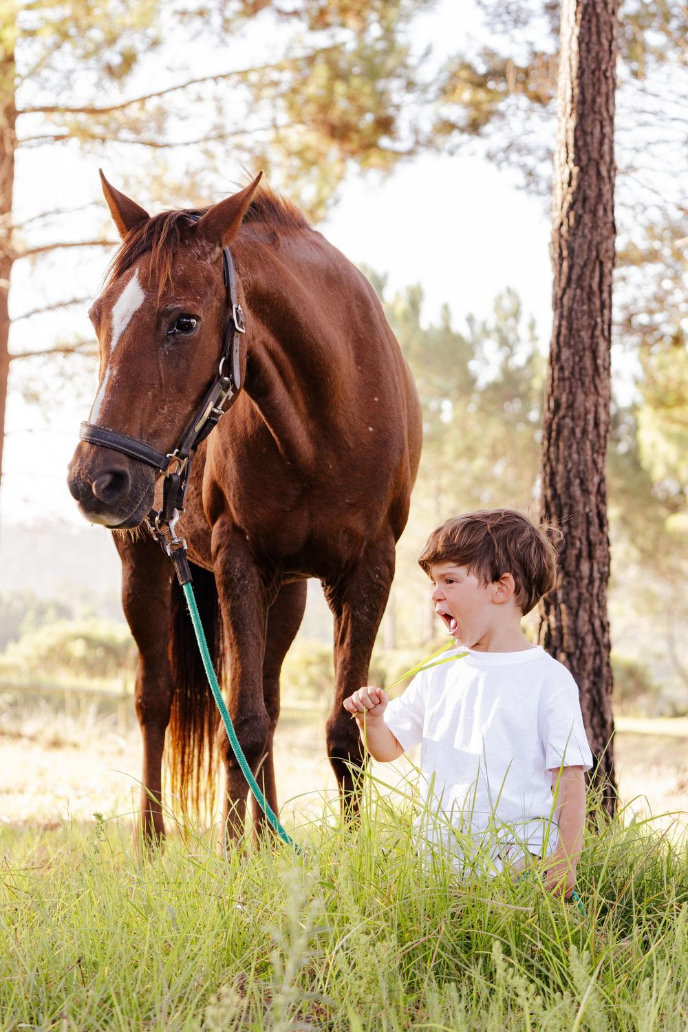Family portrait session photographed outdoors in the Garden Route