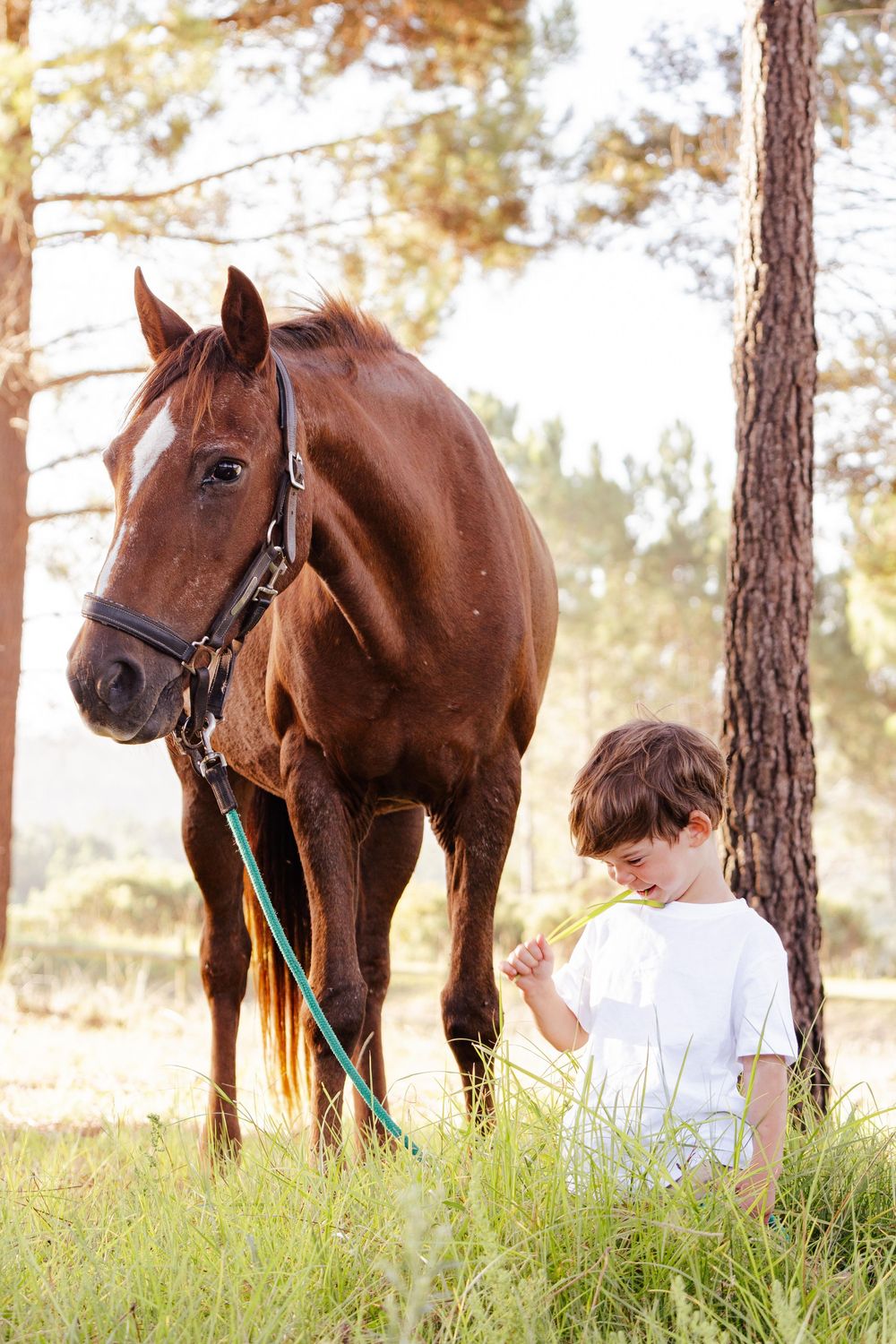 Family portrait session photographed outdoors in the Garden Route