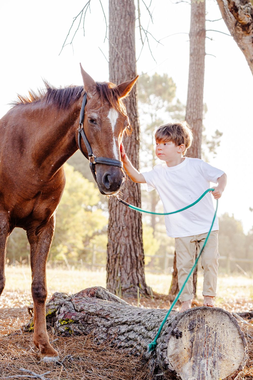 Family portrait session photographed outdoors in the Garden Route