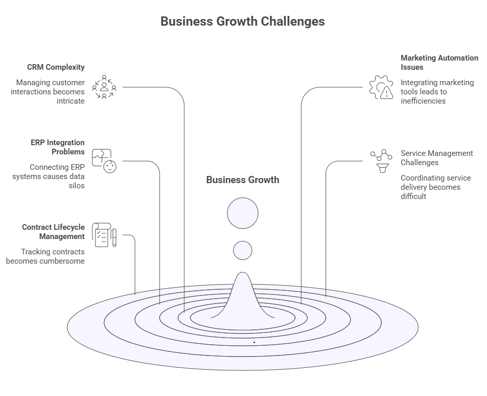 Business Growth Challenges diagram showing CRM, ERP, marketing automation, and service management issues.