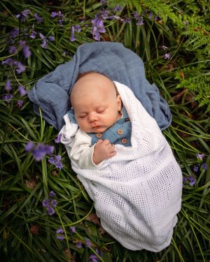 Sleeping baby wrapped in white blanket lying among purple flowers and green foliage.