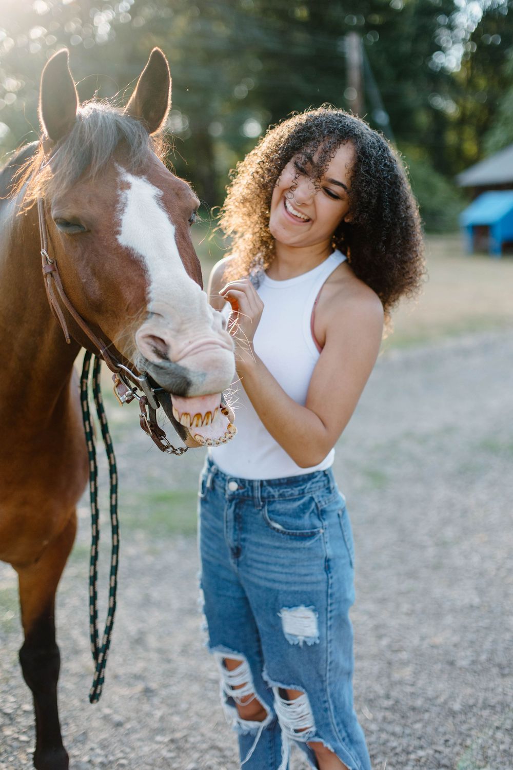 Candid moments with a brown and white horse showing affection and playfulness.