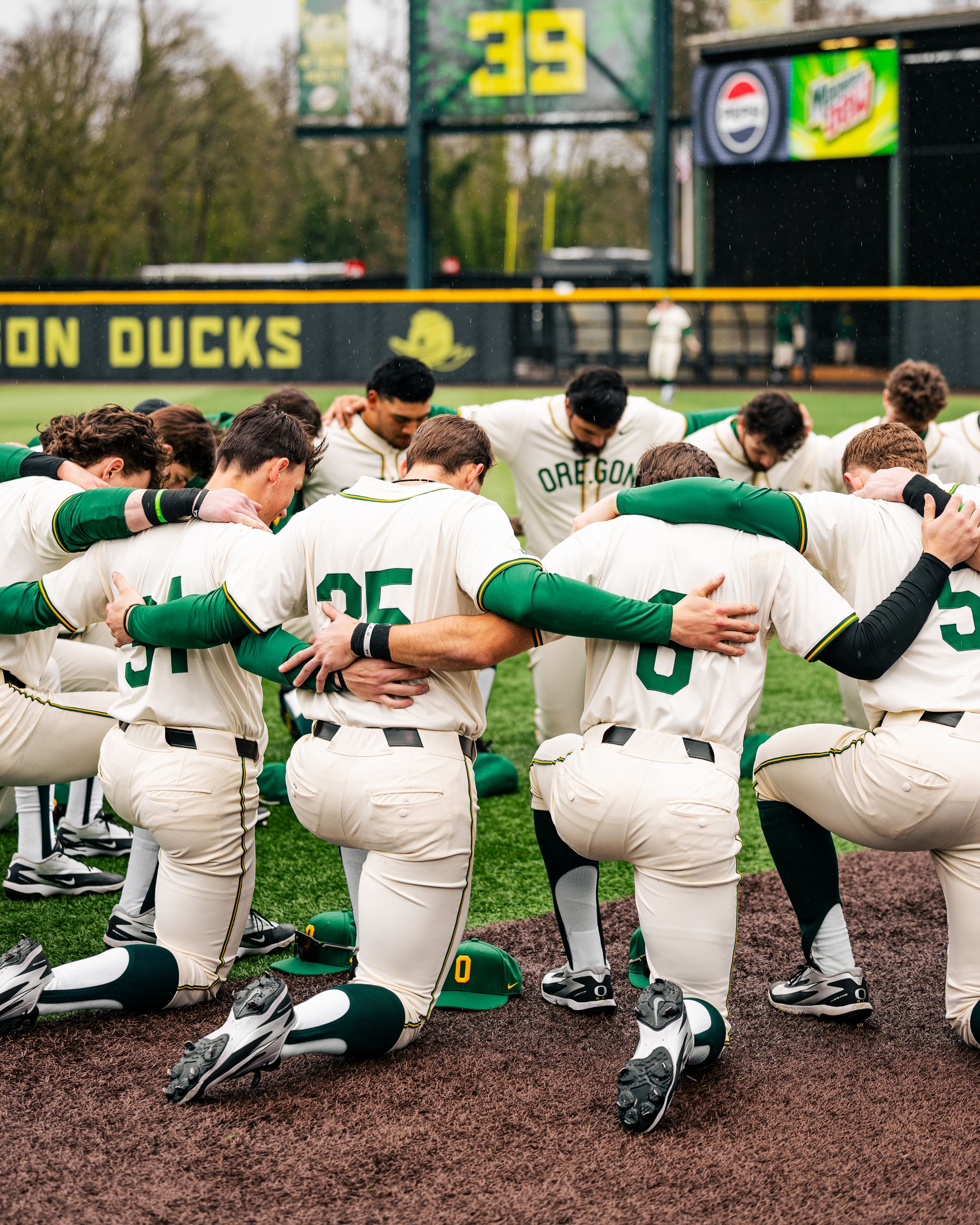 Baseball team members kneel in a row along the dugout wearing green and white Oregon Ducks uniforms.