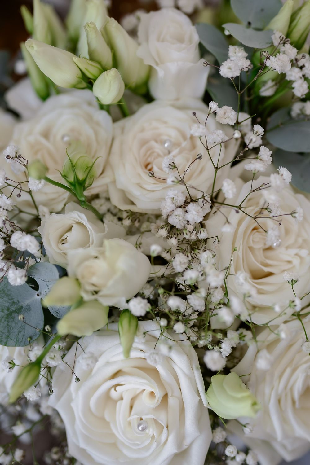 Elegant white roses and baby's breath wedding bouquet with delicate eucalyptus leaves.