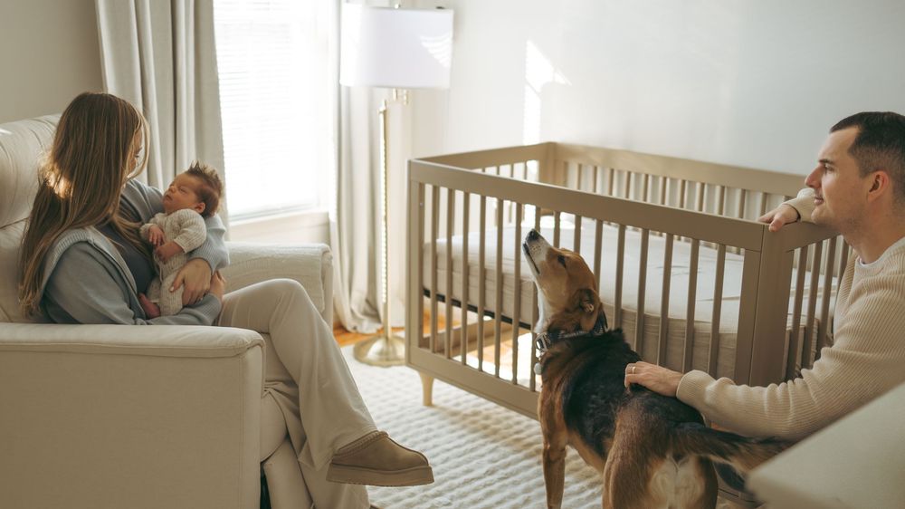 A family relaxes together in a cozy living room with natural light streaming through the windows.