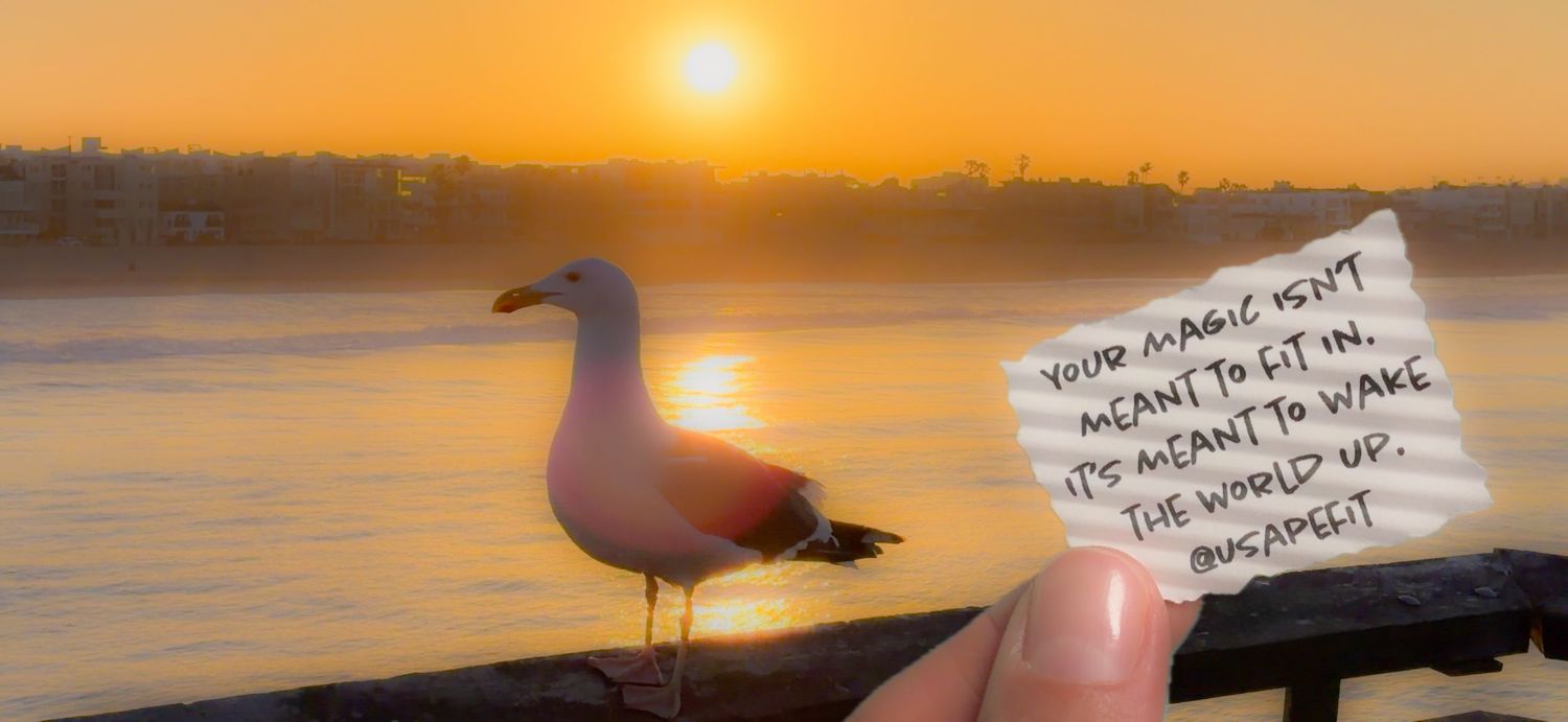 A seagull stands silently at sunset while someone holds a handwritten note against the golden sky.