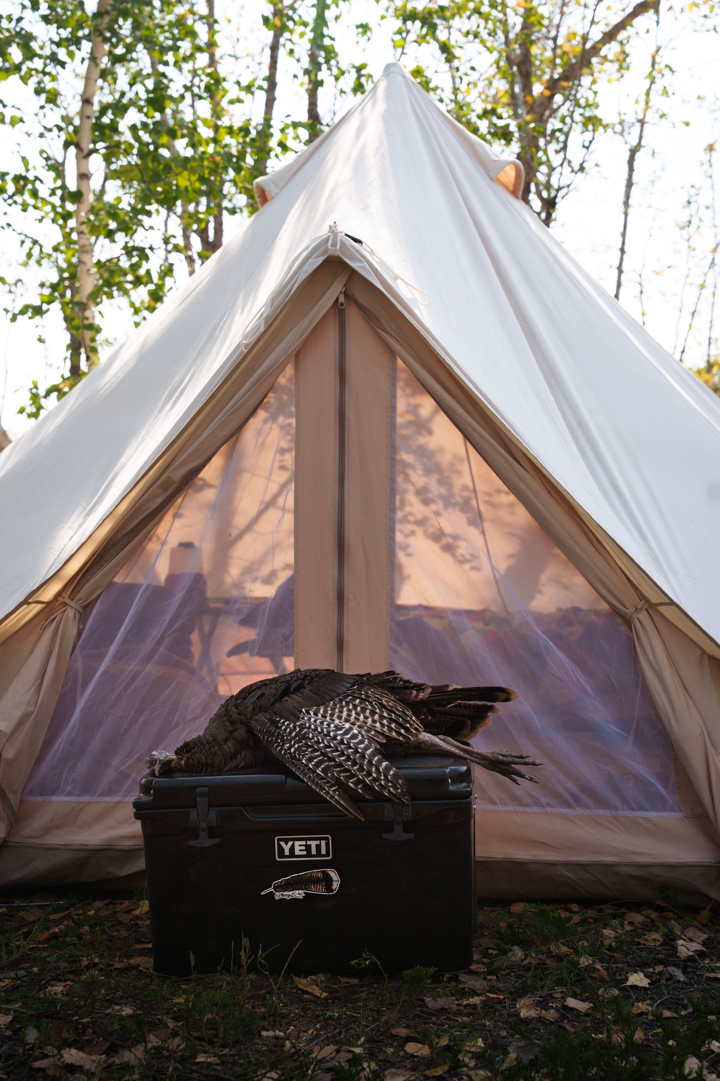 A row of white bell tents at a glamping site with a Yeti cooler and camping gear visible in the foreground.