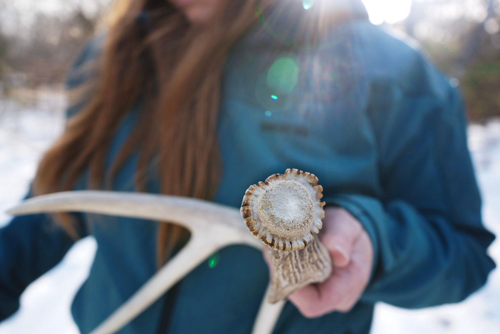 Close up of antler being held while wearing blue winter coat.