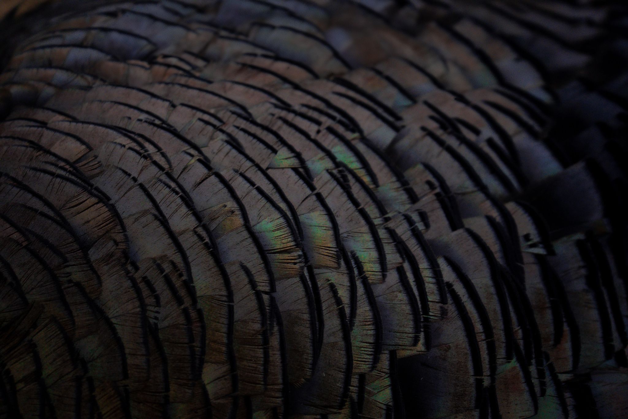 Close-up texture pattern of dark rubber tire treads.