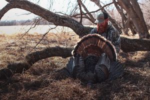 Turkey hunter in camouflage gear crouching behind fallen tree with harvested wild turkey.