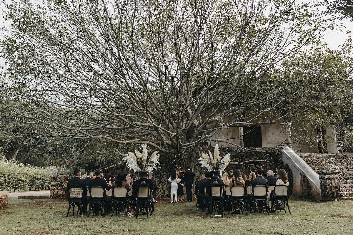 Outdoor wedding ceremony under a large tree with guests seated at decorated tables on a green lawn.