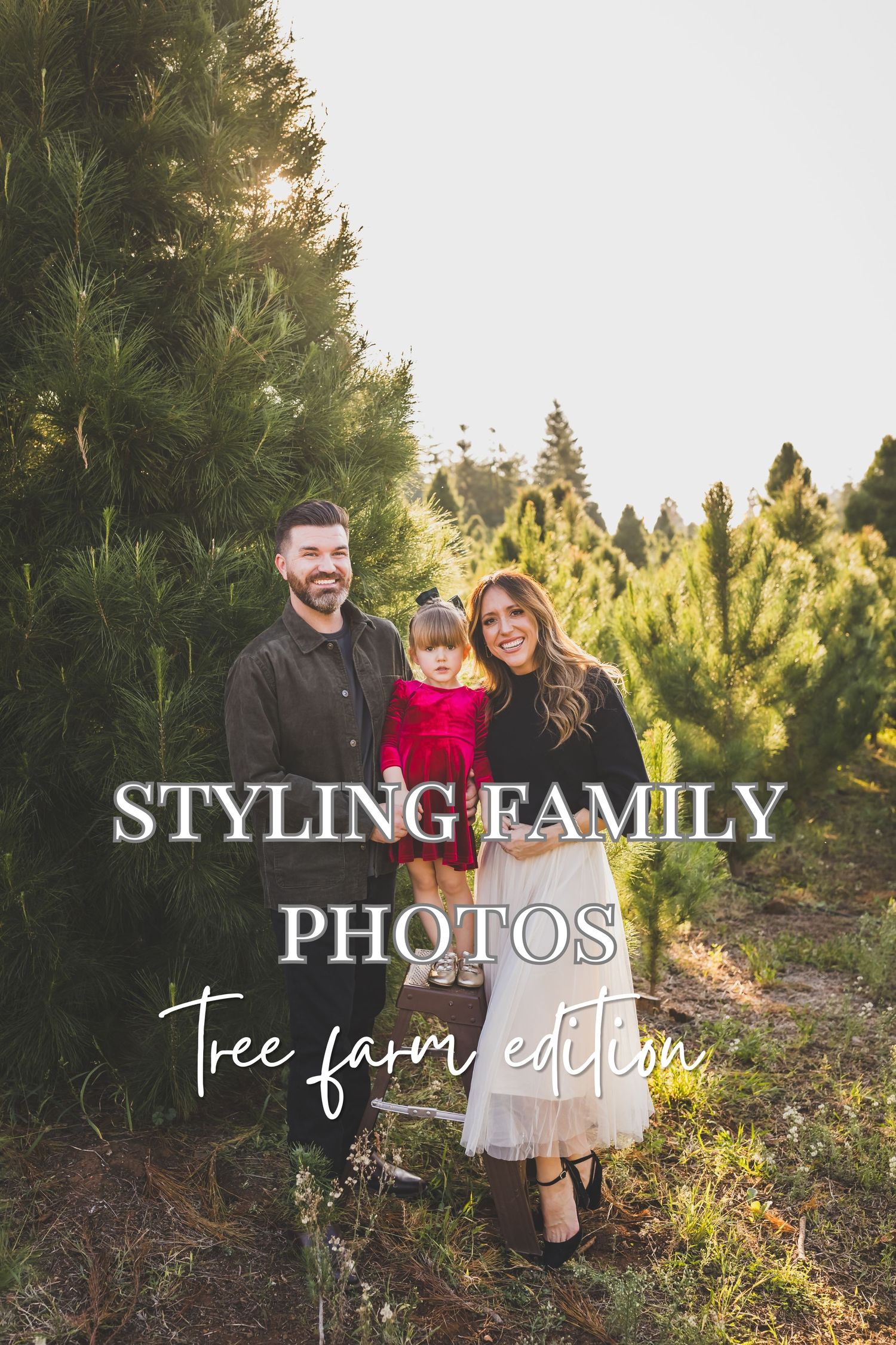 styling family photos christmas tree farm edition with heidi grace photography in redlands ca