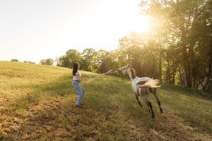 Woman in jeans guides a galloping white horse on a lead rope across a sunny green hillside field.