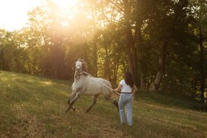 Woman leading a white horse through a sunlit grassy field with trees in the background at golden hour.