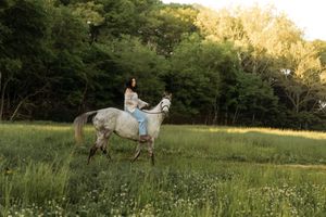 Woman in white top and jeans rides gray horse through green meadow with wildflowers at sunset.