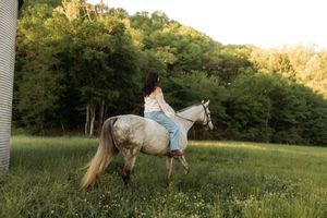 Young woman in floral top riding a gray horse bareback through a lush green meadow at golden sunset.