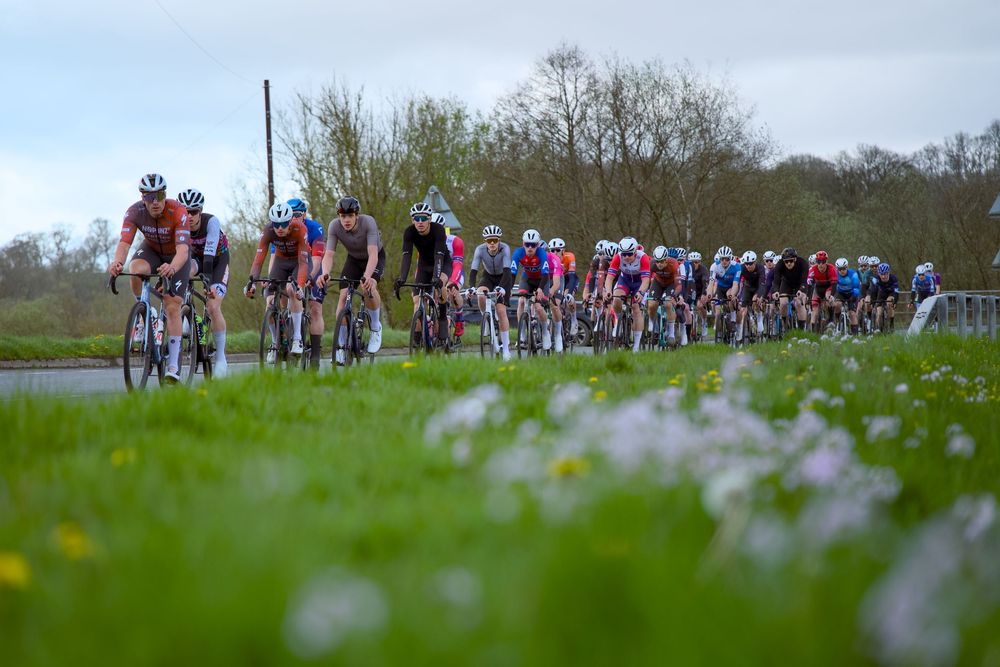 A large peloton of cyclists races along a countryside road lined with blooming wildflowers during a spring cycling event.
