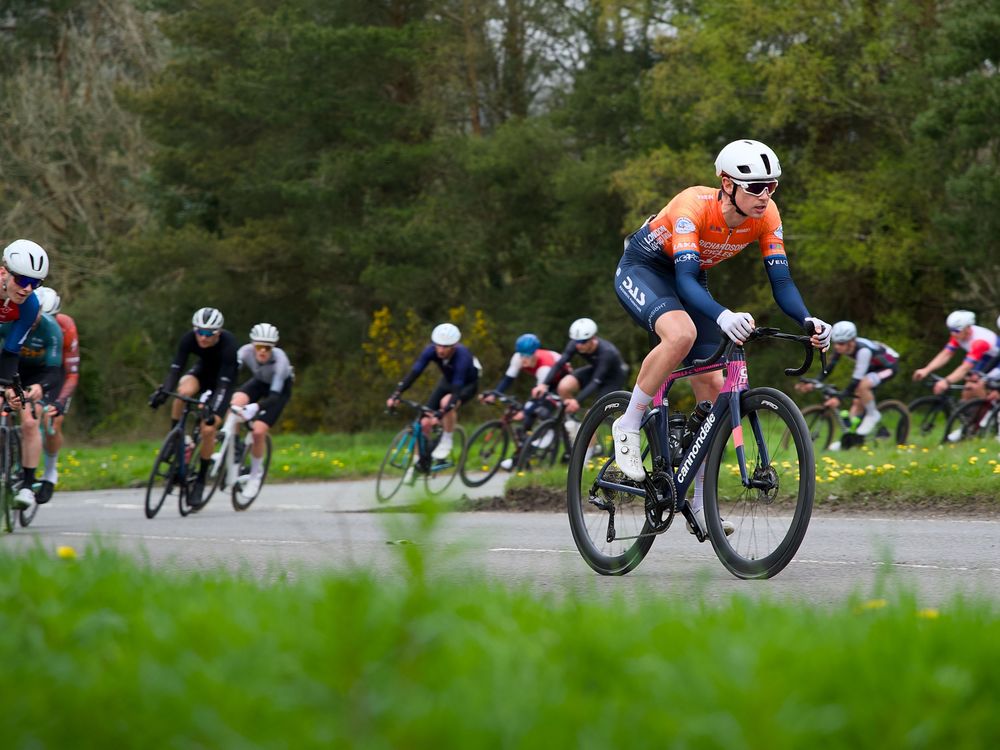 Cyclists in colorful jerseys race through a tree-lined road during a competitive cycling event.