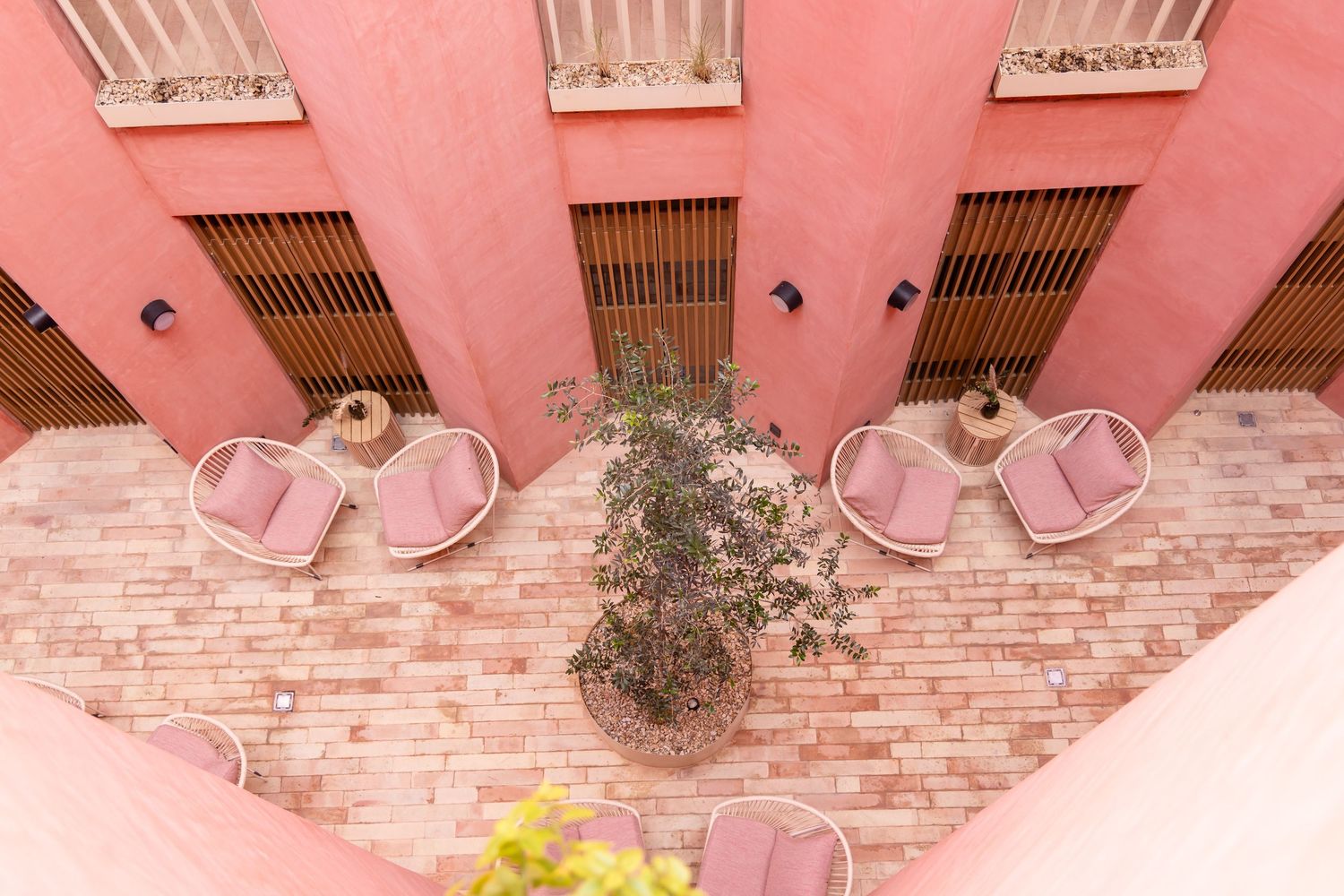 Aerial view of pink courtyard with round cushioned chairs surrounding a lush potted tree on brick floor.