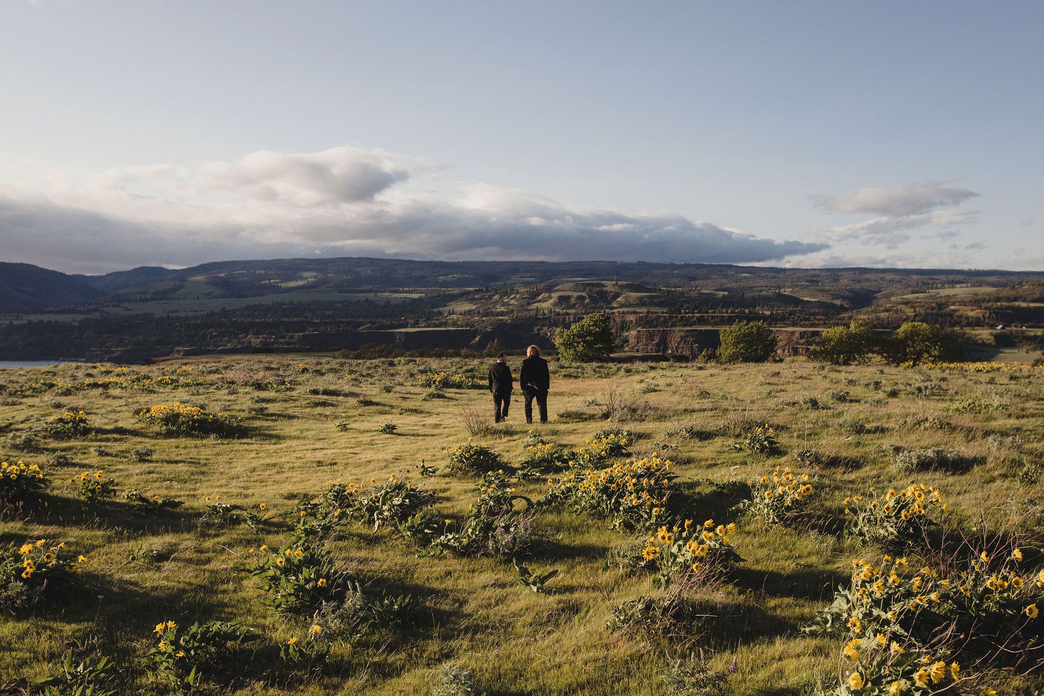 Two grooms walk through the yellow wildflowers on Rowena Crest.