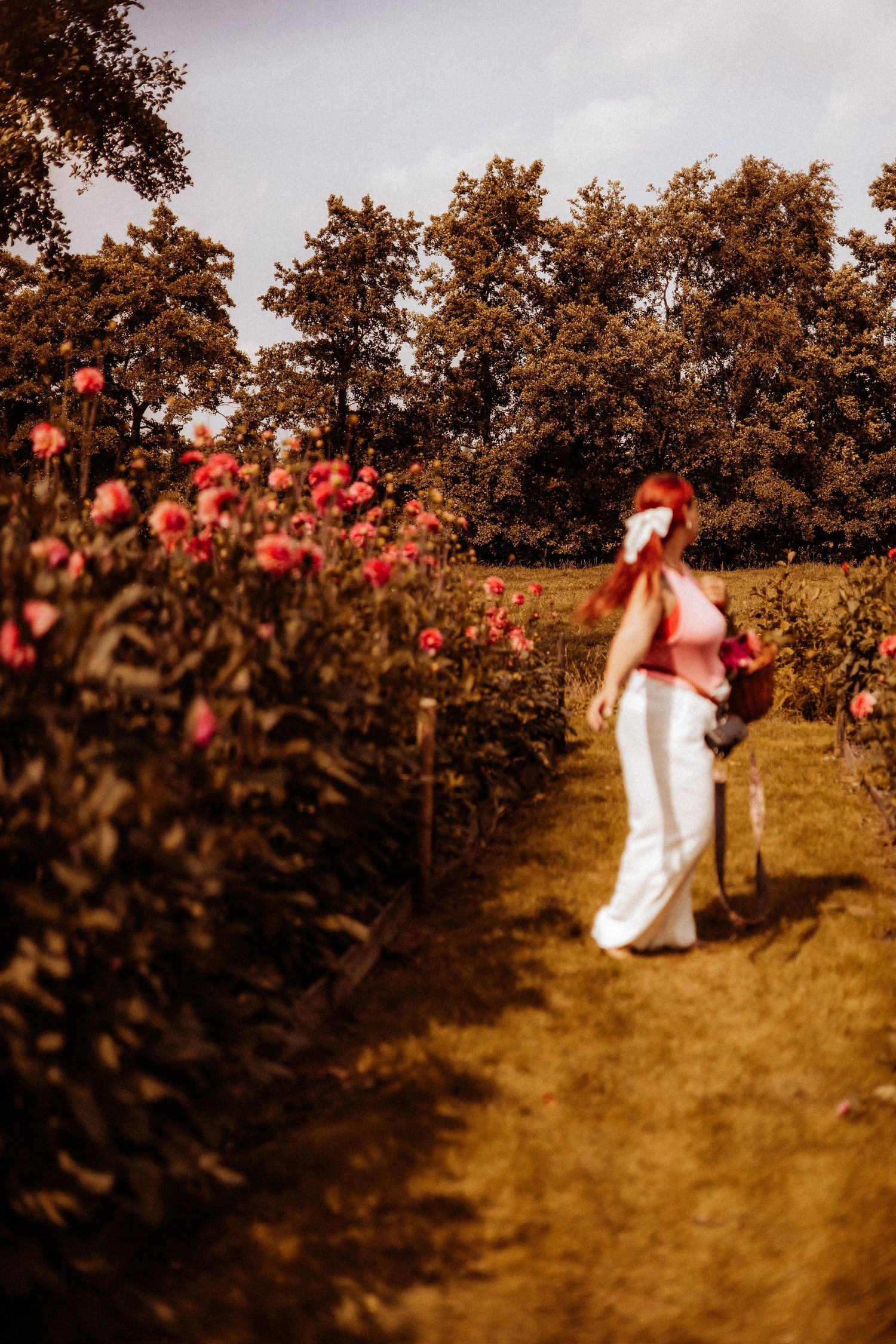 De vrouw achter de lens - Alyssa Amor fotografie