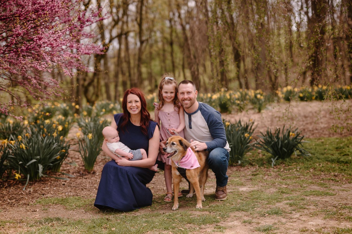 Spring family portrait session in Cincinnati, Ohio by K Herman Photography featuring natural light and seasonal scenery