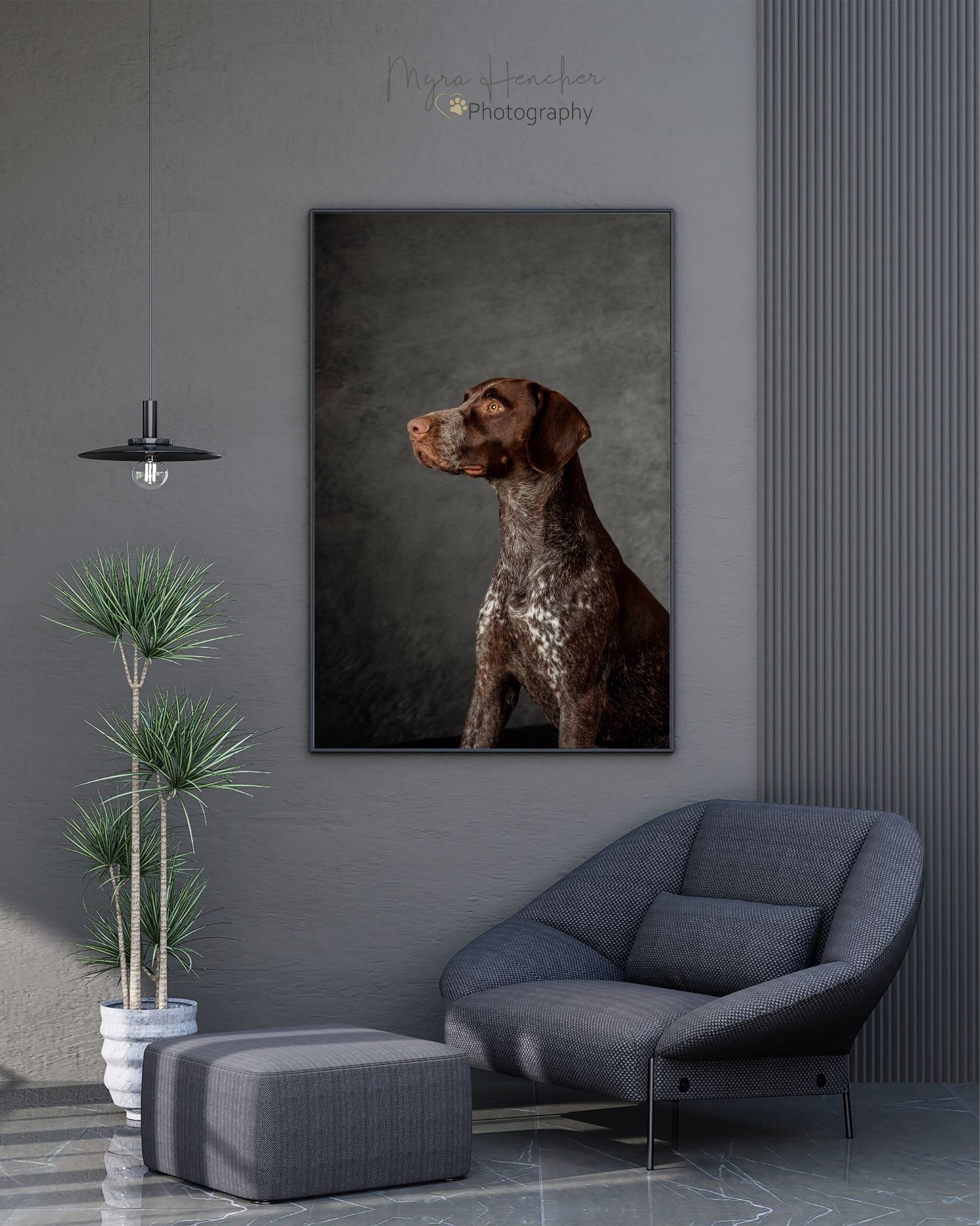 Modern gray living room with dark sofa, wall art featuring a brown dog, and minimalist decor including a potted plant.