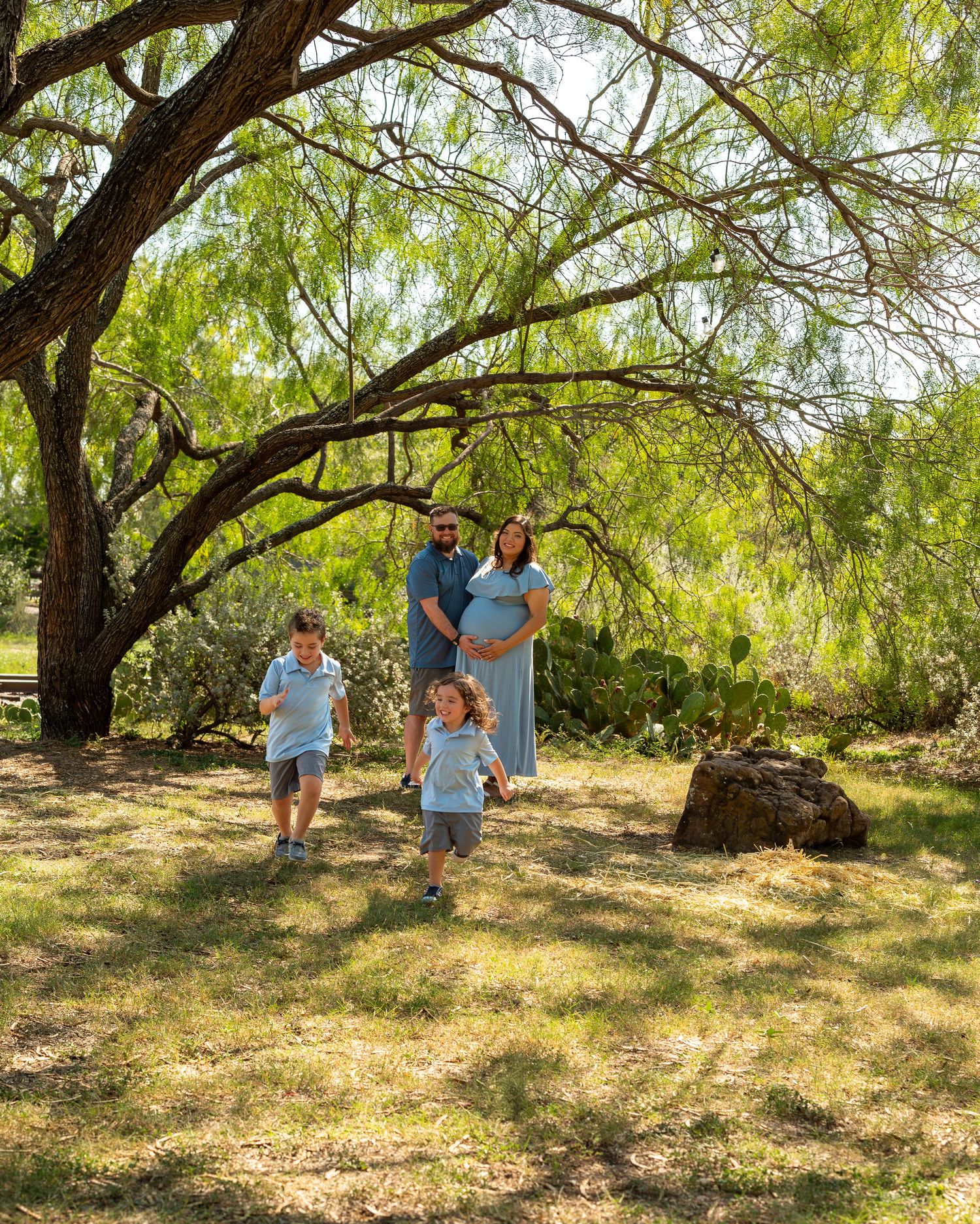 People walking through a sun-dappled grove of trees with dappled sunlight filtering through the branches.