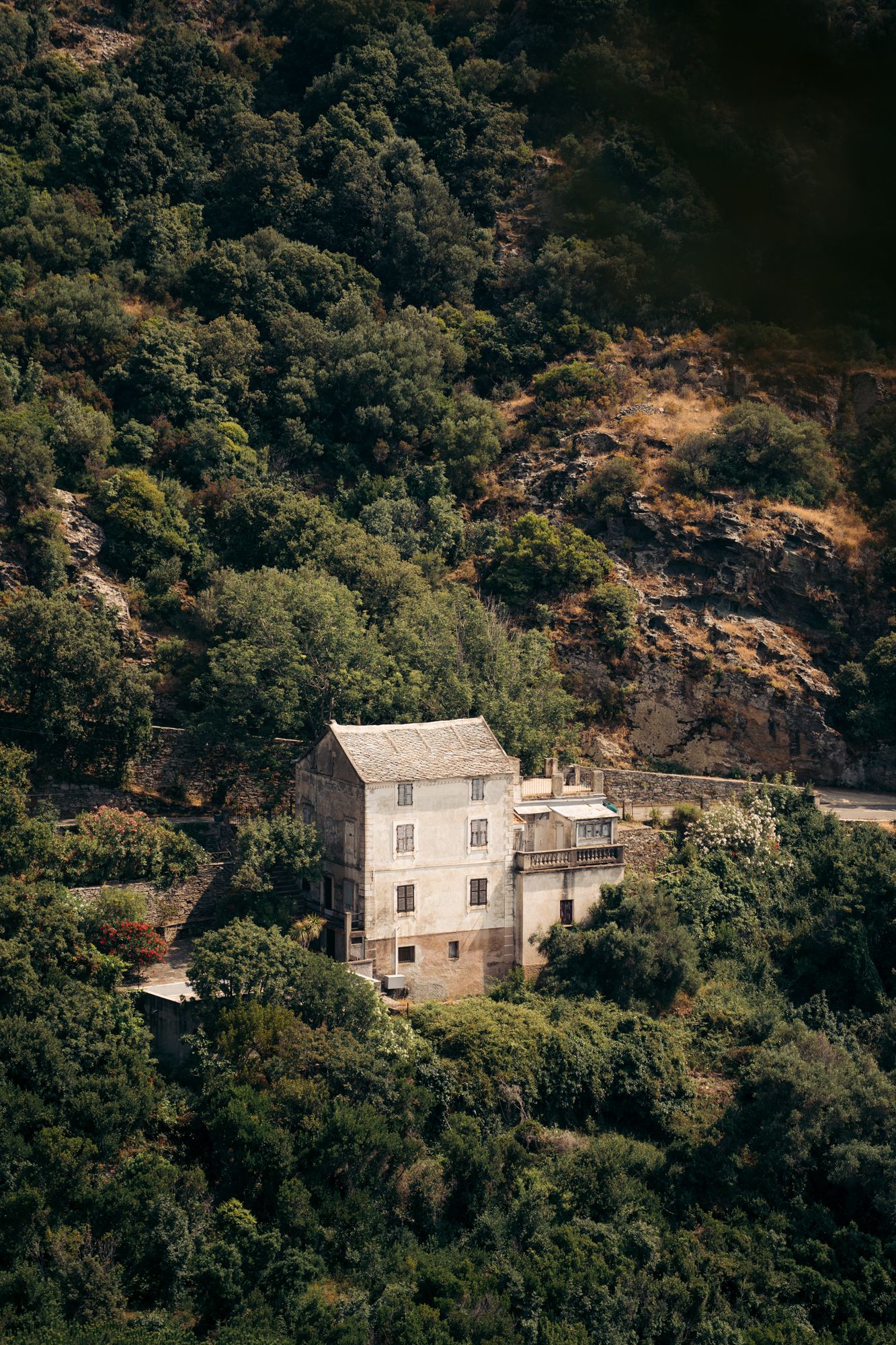 vieille maison dans le maquis corse proche de nonza