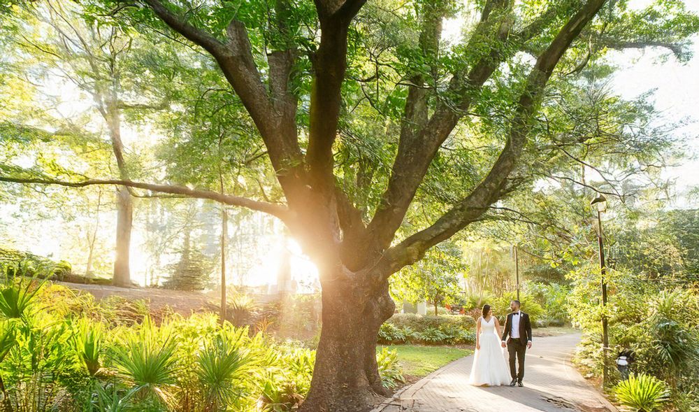 Bride and groom stroll along a sunlit garden path beneath a large tree with golden light filtering through.
