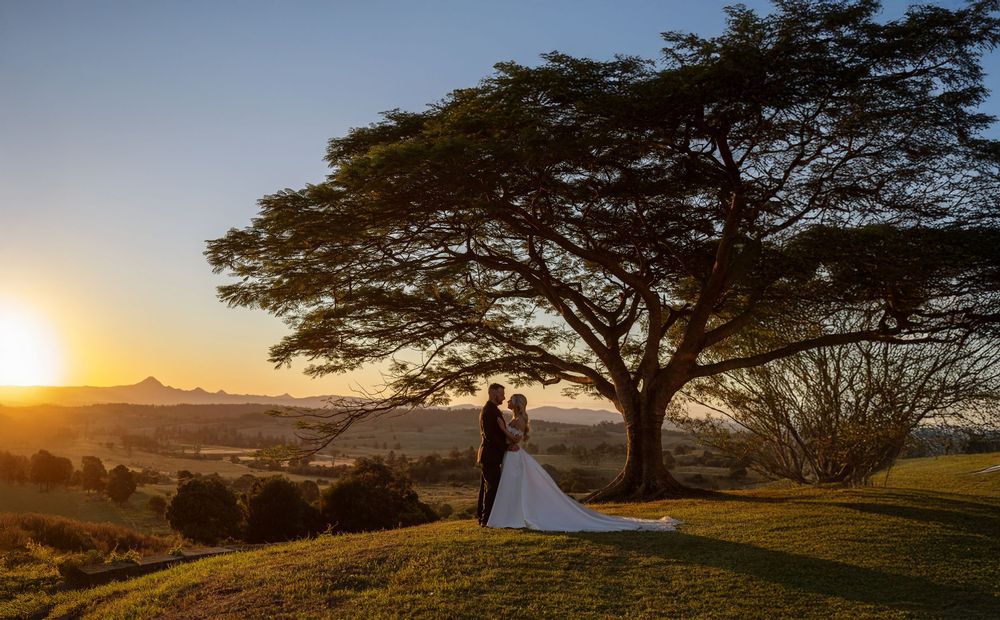 Bride and groom share a romantic sunset moment under a sprawling acacia tree on lush green hills.