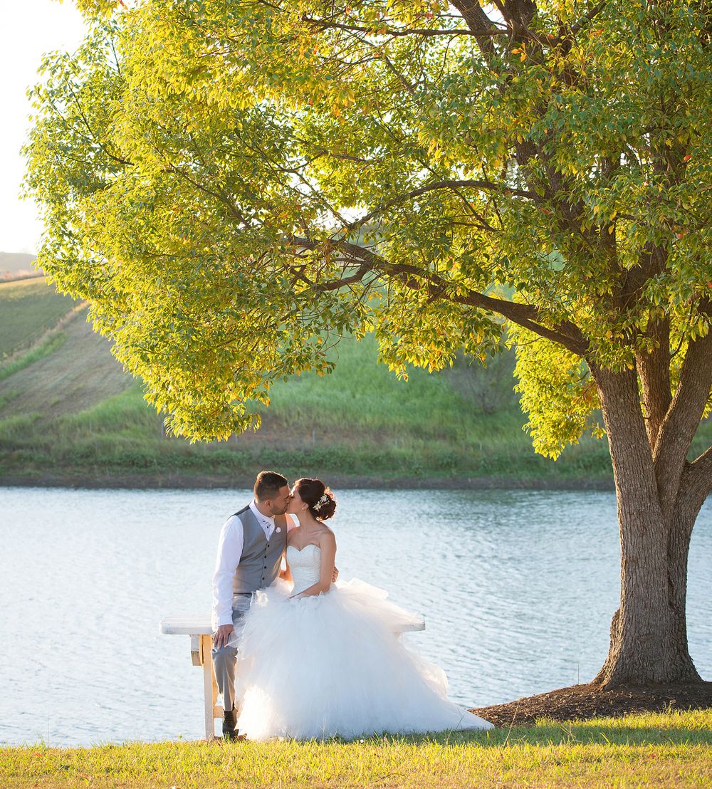 Bride and groom share a romantic kiss beside a serene lake under a large golden-lit tree.