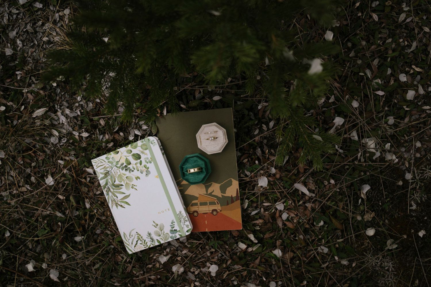 Canmore Elopement Wedding Photographer
Canmore Wedding Photographer