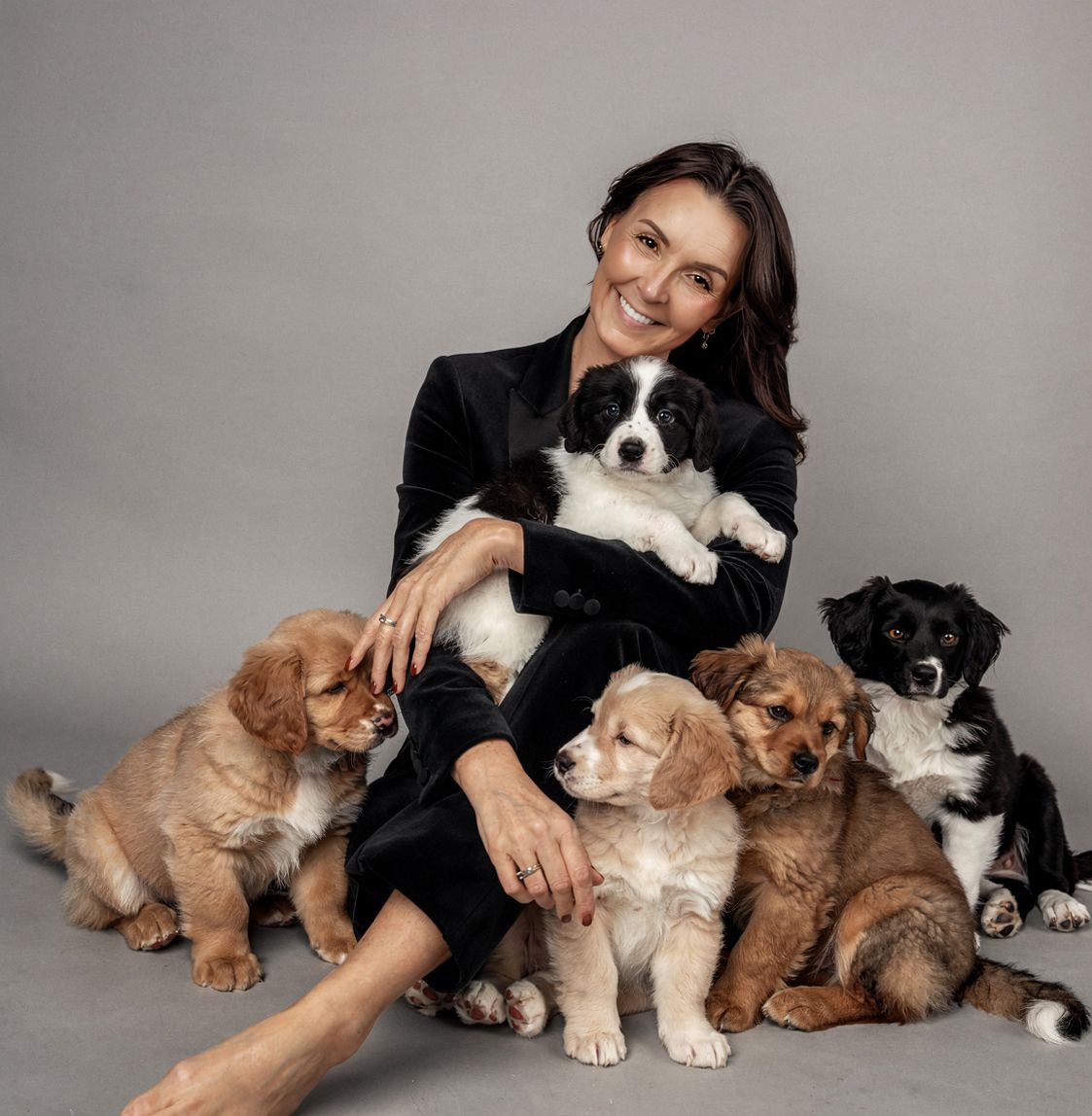 A series of five photos showing puppies and dogs lounging and posing on a light gray studio backdrop.