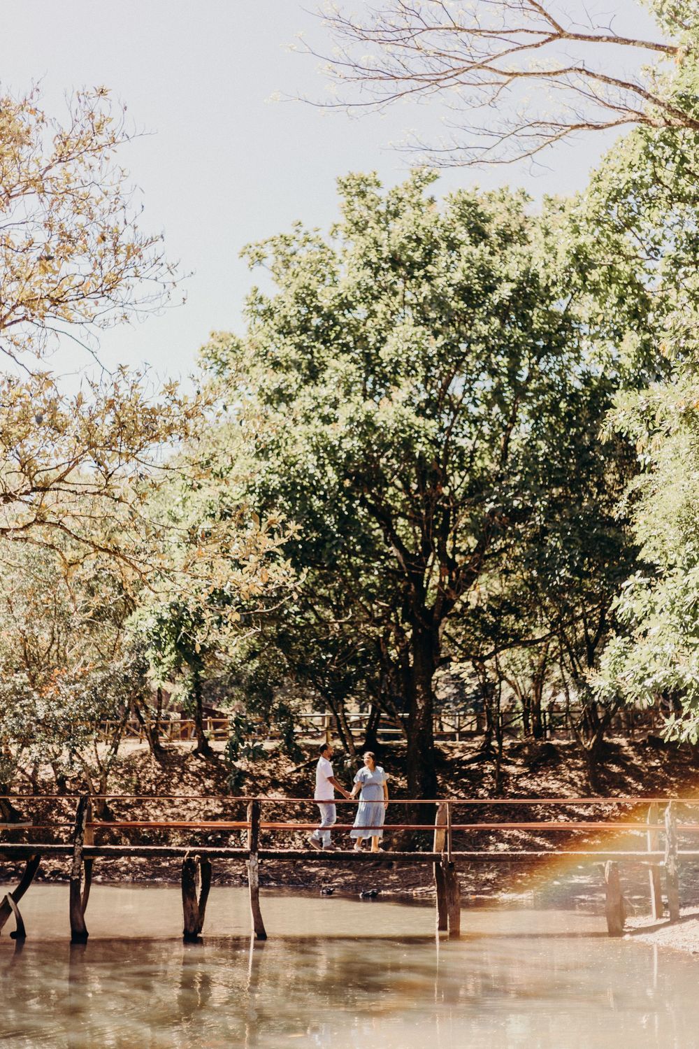 Scenic wooded park area with tall trees and a wooden fence along a tranquil pond on a sunny day.
