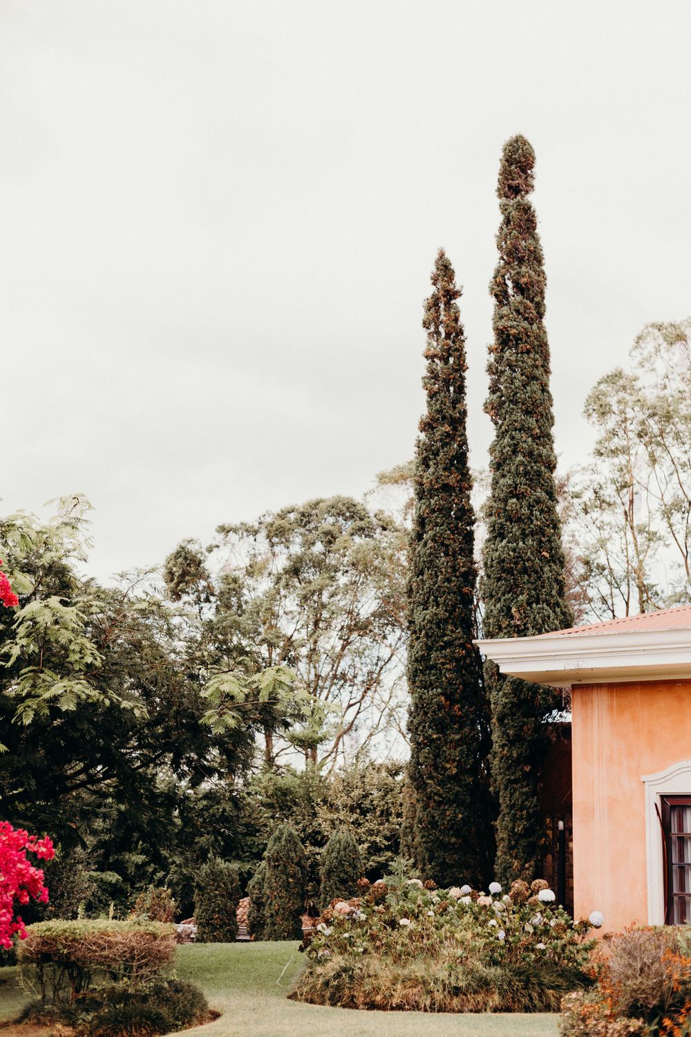 Two tall cypress trees stand beside a peach-colored house with blooming red flowers and lush greenery in the garden.