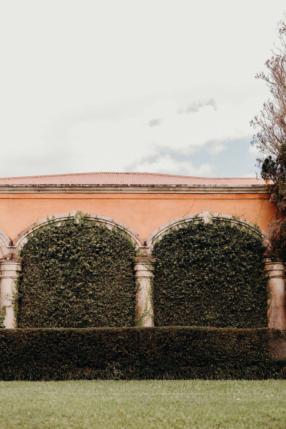 Pink stucco wall with ornate stone archways covered in climbing ivy and manicured hedges overlooking a green lawn.