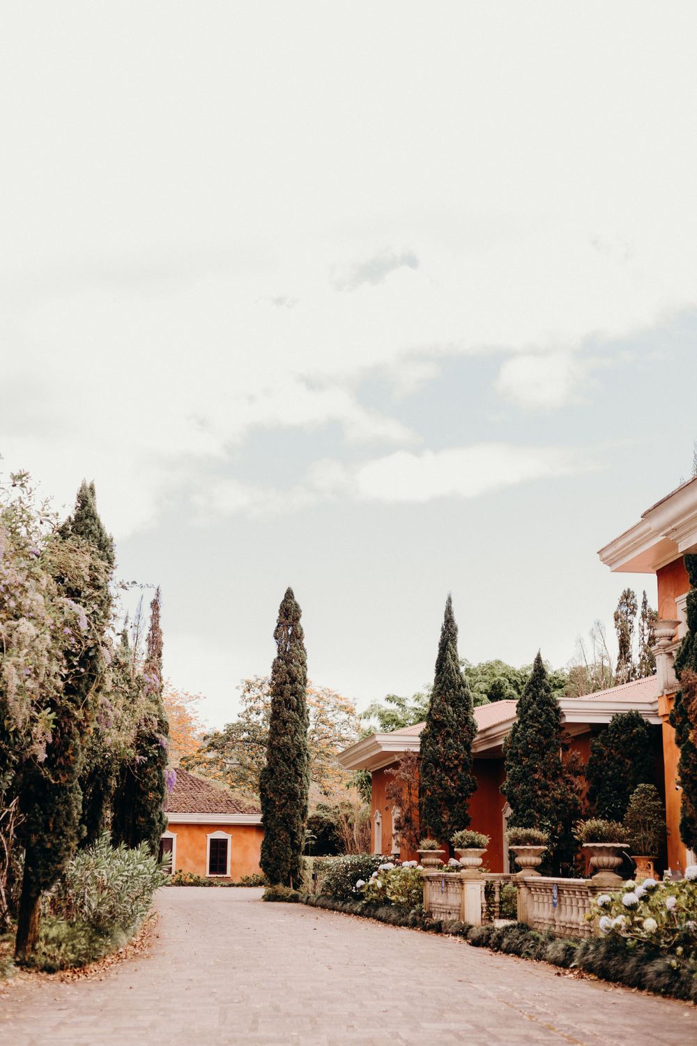 A Mediterranean-style villa with orange stucco walls and tall cypress trees lining a curved driveway in a peaceful garden setting.