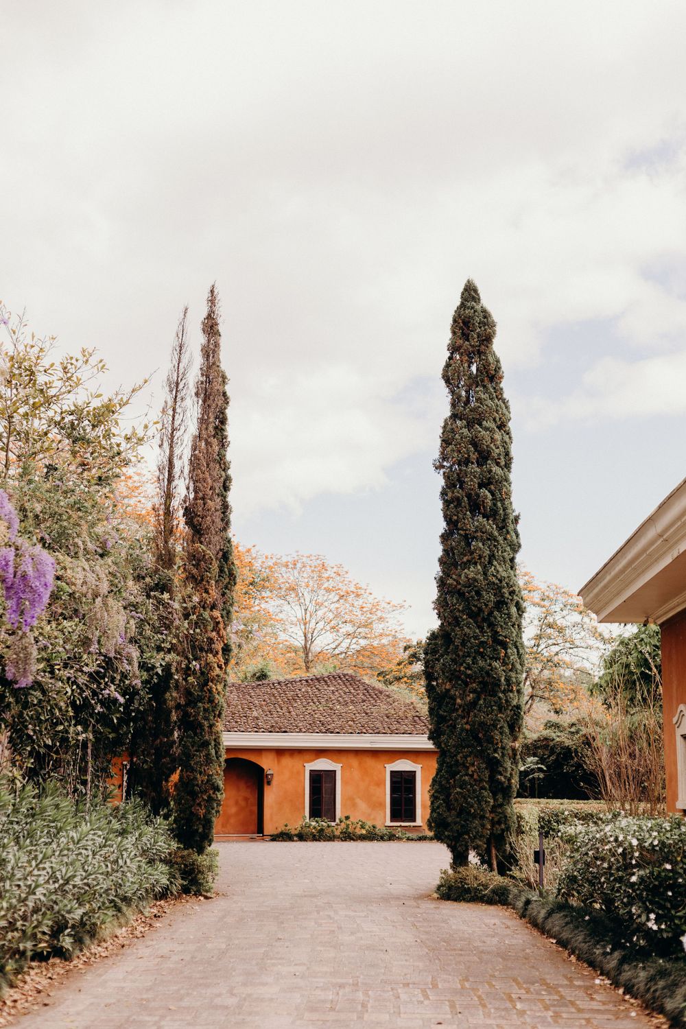 Tall cypress trees line a curved driveway leading to a rustic orange Mediterranean cottage with flowering gardens.