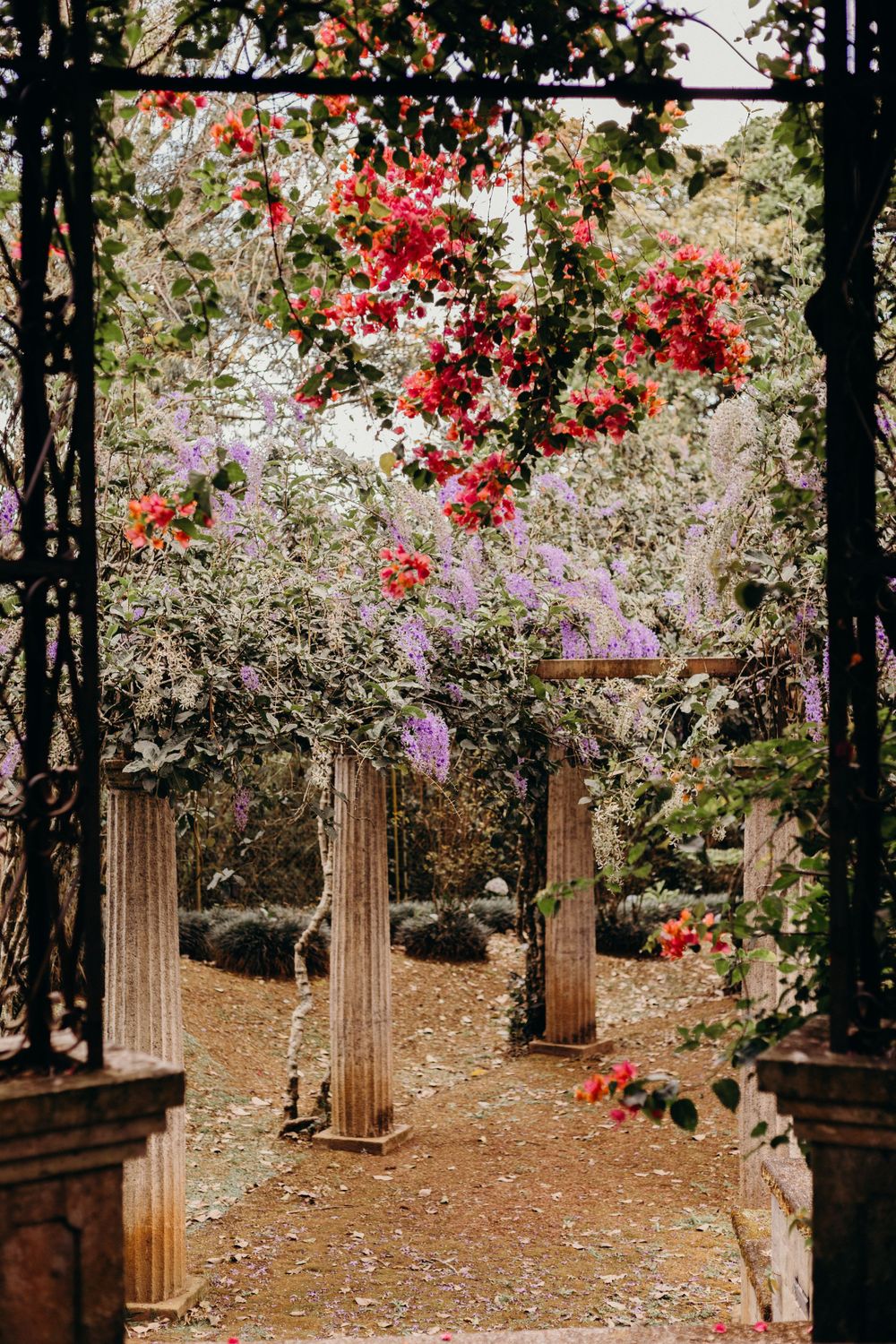 Ancient stone pillars frame a romantic garden pathway with vibrant red bougainvillea and purple flowers blooming overhead.