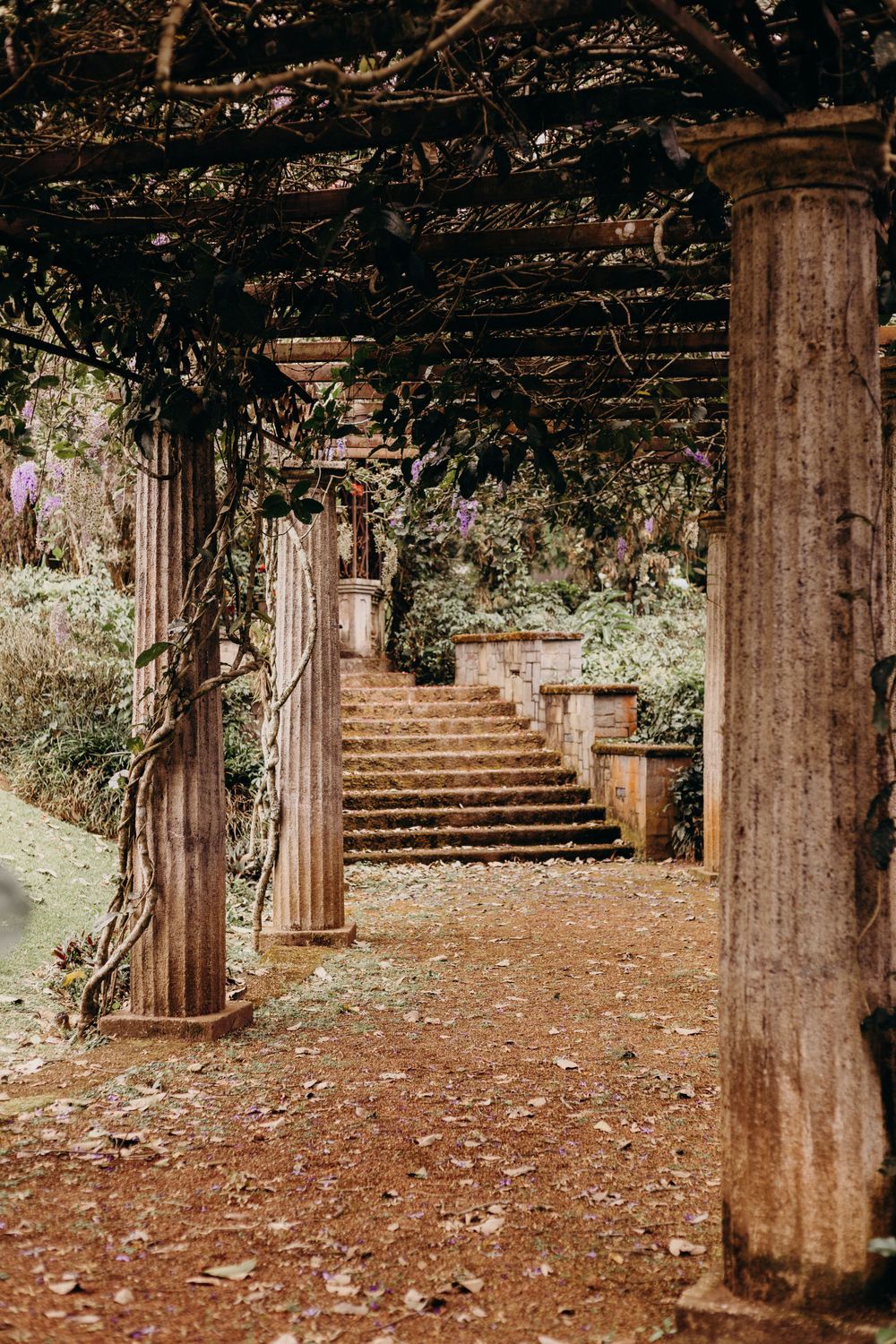 Ancient stone colonnade with vines overhead leads to romantic garden steps in dappled sunlight.