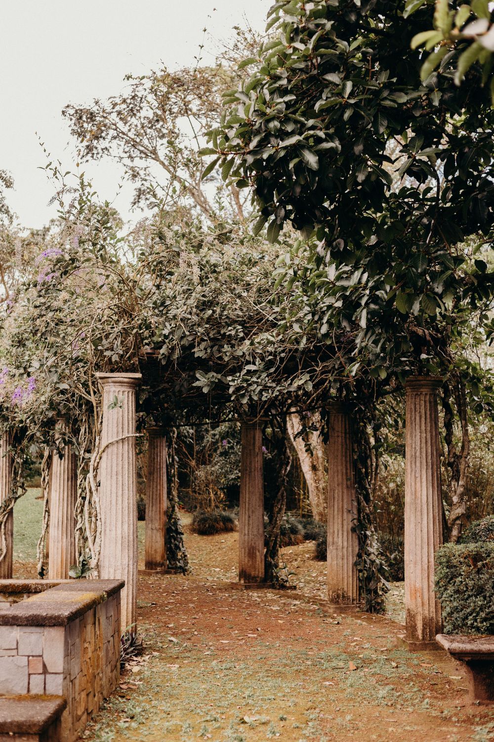 Ancient stone columns frame a serene garden path surrounded by lush trees and foliage in a romantic setting.