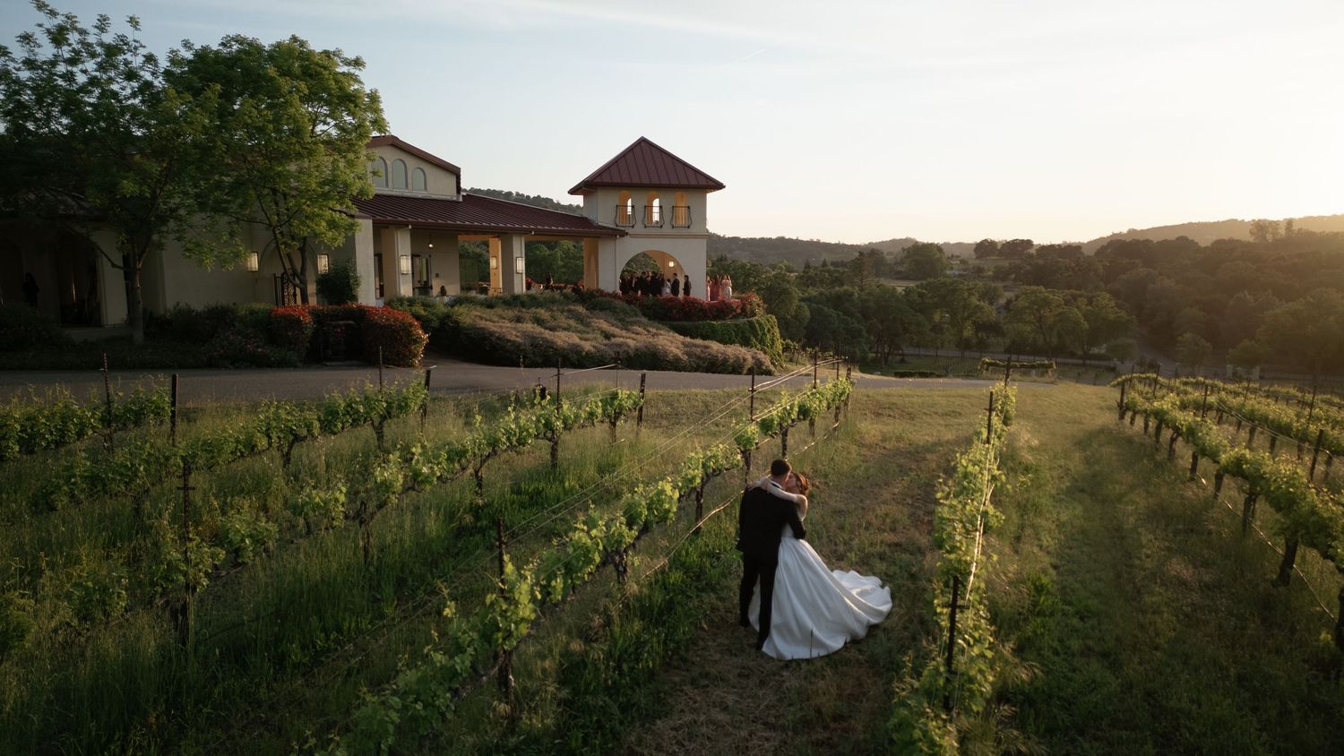 A panoramic view of a vineyard at sunset with rustic buildings and rolling hills in the background.