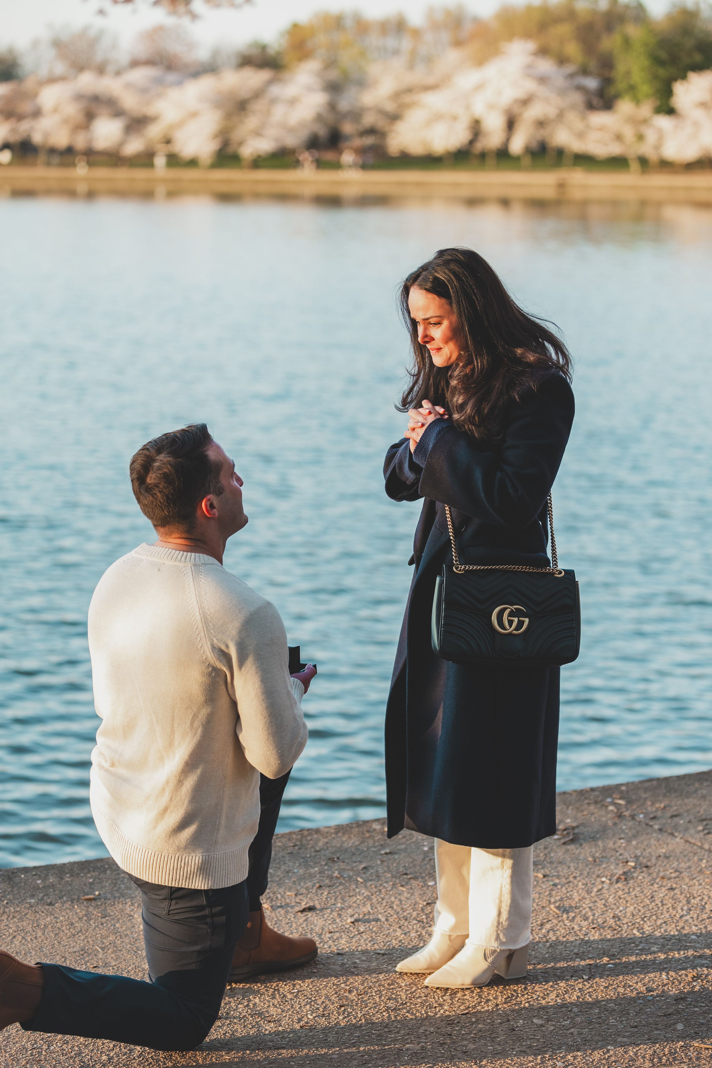 A romantic tidal basin proposal scene by a lake with blooming cherry blossoms in the background during sunset.