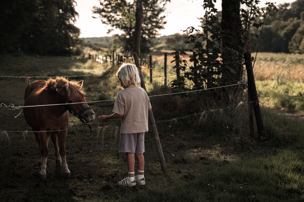 Children petting a brown horse in a grassy field at sunset.