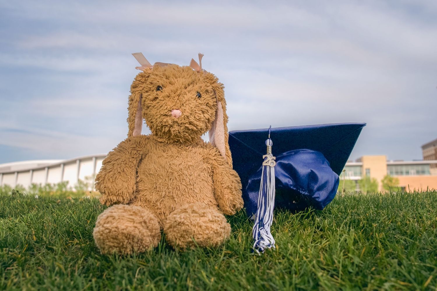 Brown teddy bear sitting on grass beside a blue graduation cap with tassel outdoors.