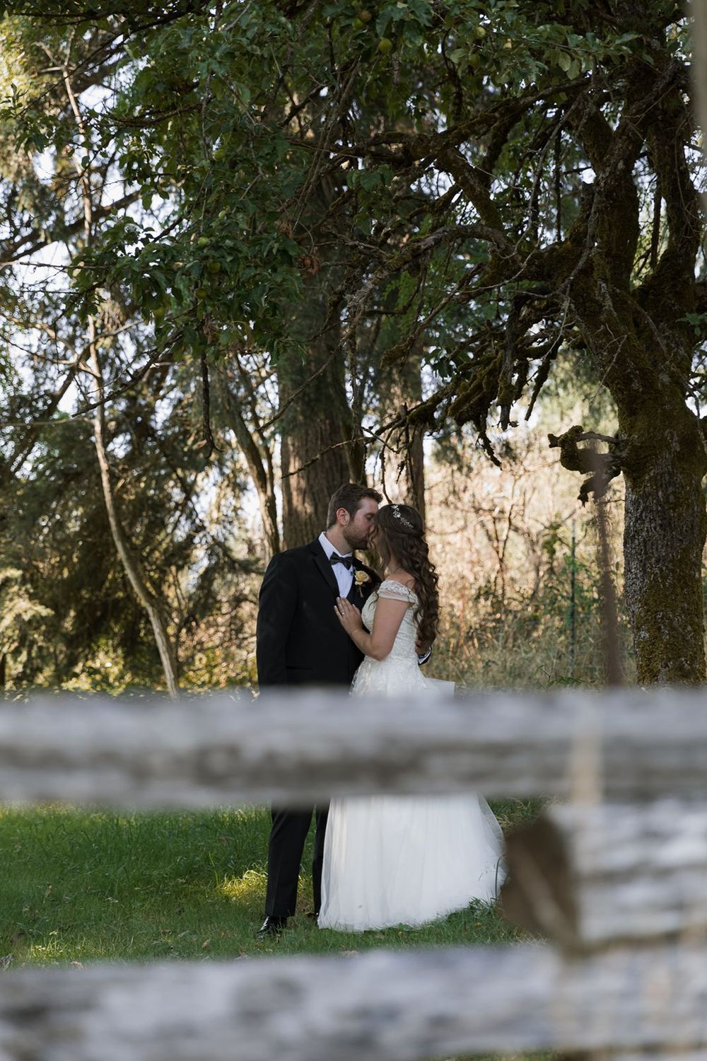 Bride and groom kissing under a large tree viewed through a rustic wooden fence in outdoor wedding.
