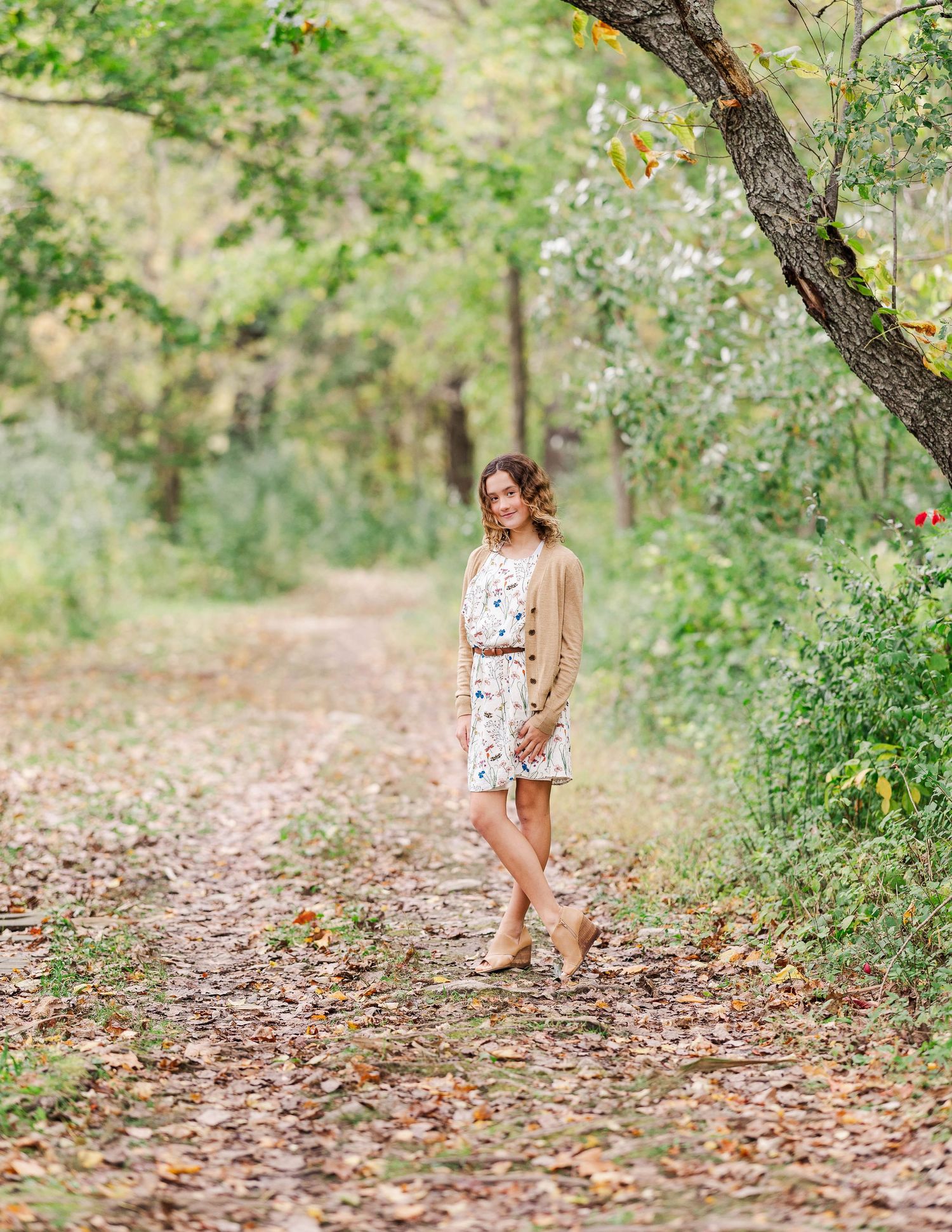 Engagement photography, couple photographer, wedding photographer, Ridgefield, wilton, Westport, New Canaan, stamford, proposal photos
