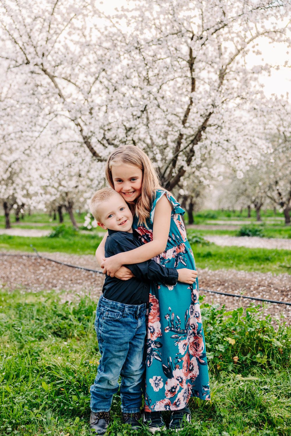 Under blooming spring cherry trees, a young pair share a loving embrace in a grassy orchard.