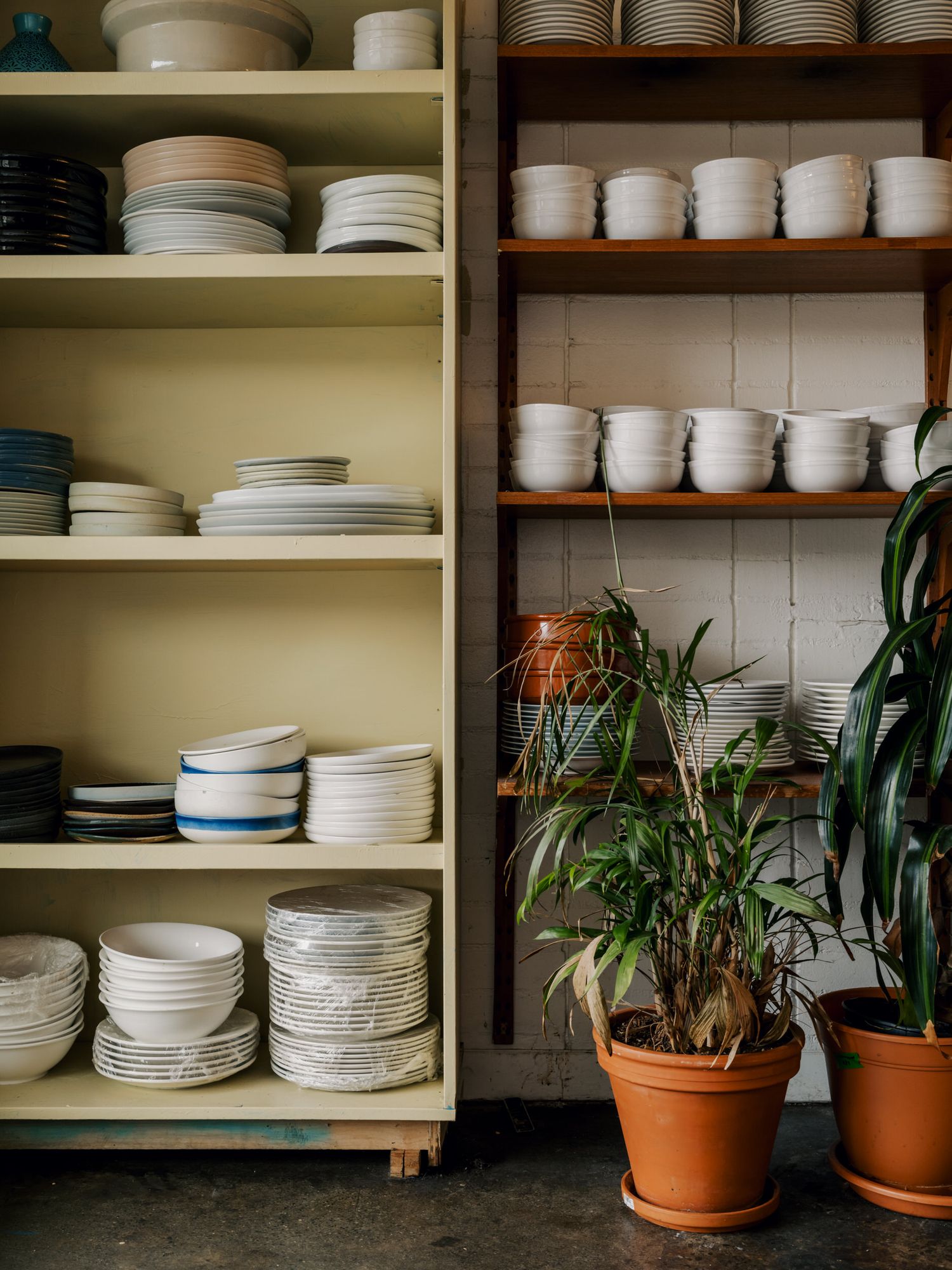 Storage shelves stocked with white plates and ceramic dishes next to potted plants in restaurant.